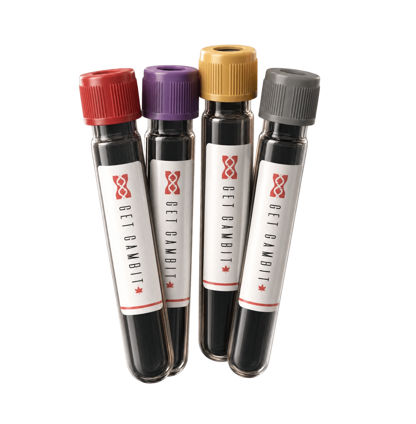 Comprehensive Bloodwork